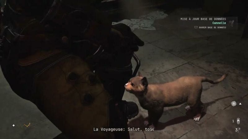 Cronos: The New Dawn - Chat #4 Cannelle