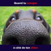 photo de profil de Wawan