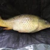 photo de profil de keanaa03