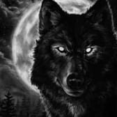 photo de profil de Tontonnightwolf