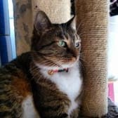 photo de profil de MoJo_76_