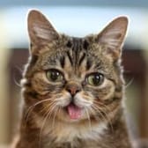 photo de profil de tusemo40