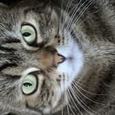 photo de profil de filou19