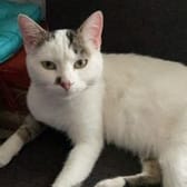 photo de profil de Karambarrr