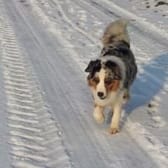 photo de profil de TARPON97221