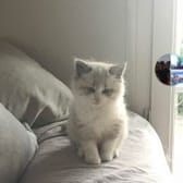 photo de profil de Balou29