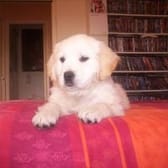 photo de profil de Valrick