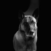 photo de profil de saleme8638