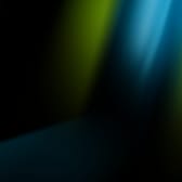 photo de profil de freis-spider