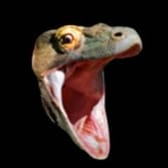 photo de profil de Gta