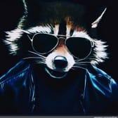 photo de profil de DrMaximus99