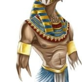 photo de profil de Horus23