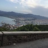 photo de profil de Moz_Dogg