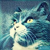 photo de profil de w00ty
