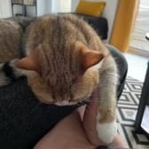 photo de profil de KevJOne