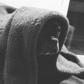 photo de profil de Biliboy22