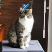 photo de profil de Boutch72
