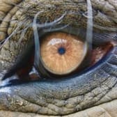 photo de profil de Phylti