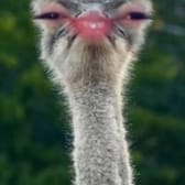 photo de profil de ScO-_-Bryan1