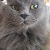 photo de profil de ludo66
