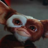 photo de profil de Gudril