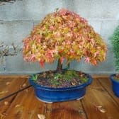 photo de profil de Tacos6481
