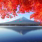 photo de profil de Shiodat