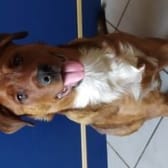 photo de profil de Cassoudu46