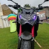 photo de profil de Maxeden
