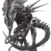 photo de profil de lv4.26
