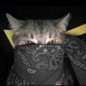 photo de profil de CliozZio