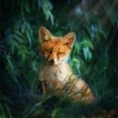 photo de profil de AzaTien