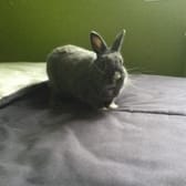 photo de profil de Kawell