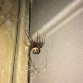 photo de profil de Mens
