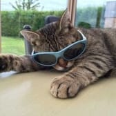 photo de profil de ecarinci