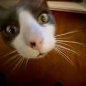 photo de profil de Mariellekp