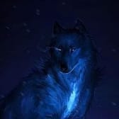 photo de profil de Zoumail