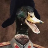 photo de profil de Dorian-_-