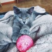 photo de profil de Morgane6853