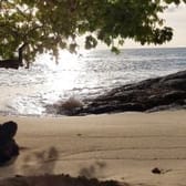 photo de profil de CUBANiiTO13