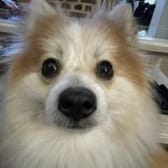 photo de profil de Batou