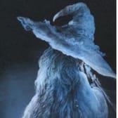 photo de profil de Twain