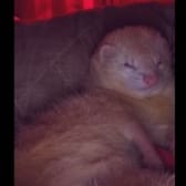 photo de profil de Mimo81