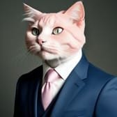 photo de profil de AKANIIZER