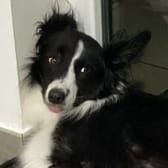 photo de profil de Amilex