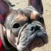 photo de profil de BlackJack67