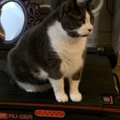 photo de profil de Rémi94