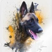 photo de profil de ZeZe13800