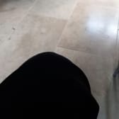 photo de profil de AlphaRubis-_-