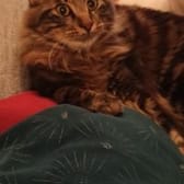 photo de profil de G6k040788